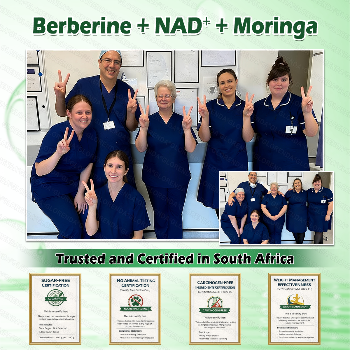 🔥 Only 10 boxes left! Get 30% off! GLORENDA® Moringa · Berberine × NAD+ 10-in-1 Patch is doctor-tested and proven safe — just 4–6 patches support weight, blood sugar, digestion, and energy with lasting results!