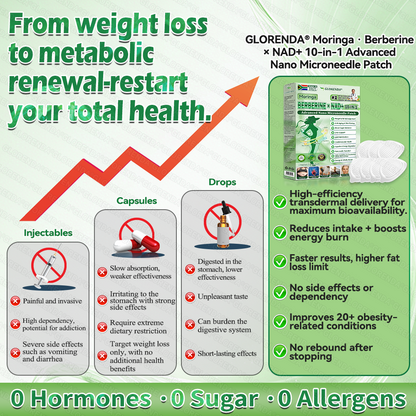🔥 Only 10 boxes left! Get 30% off! GLORENDA® Moringa · Berberine × NAD+ 10-in-1 Patch is doctor-tested and proven safe — just 4–6 patches support weight, blood sugar, digestion, and energy with lasting results!